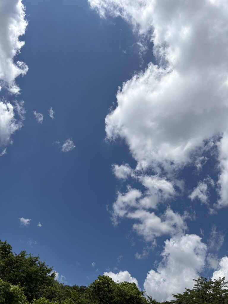 🐾後編：ペットさんのための暑さ対策【応用＆注意点】