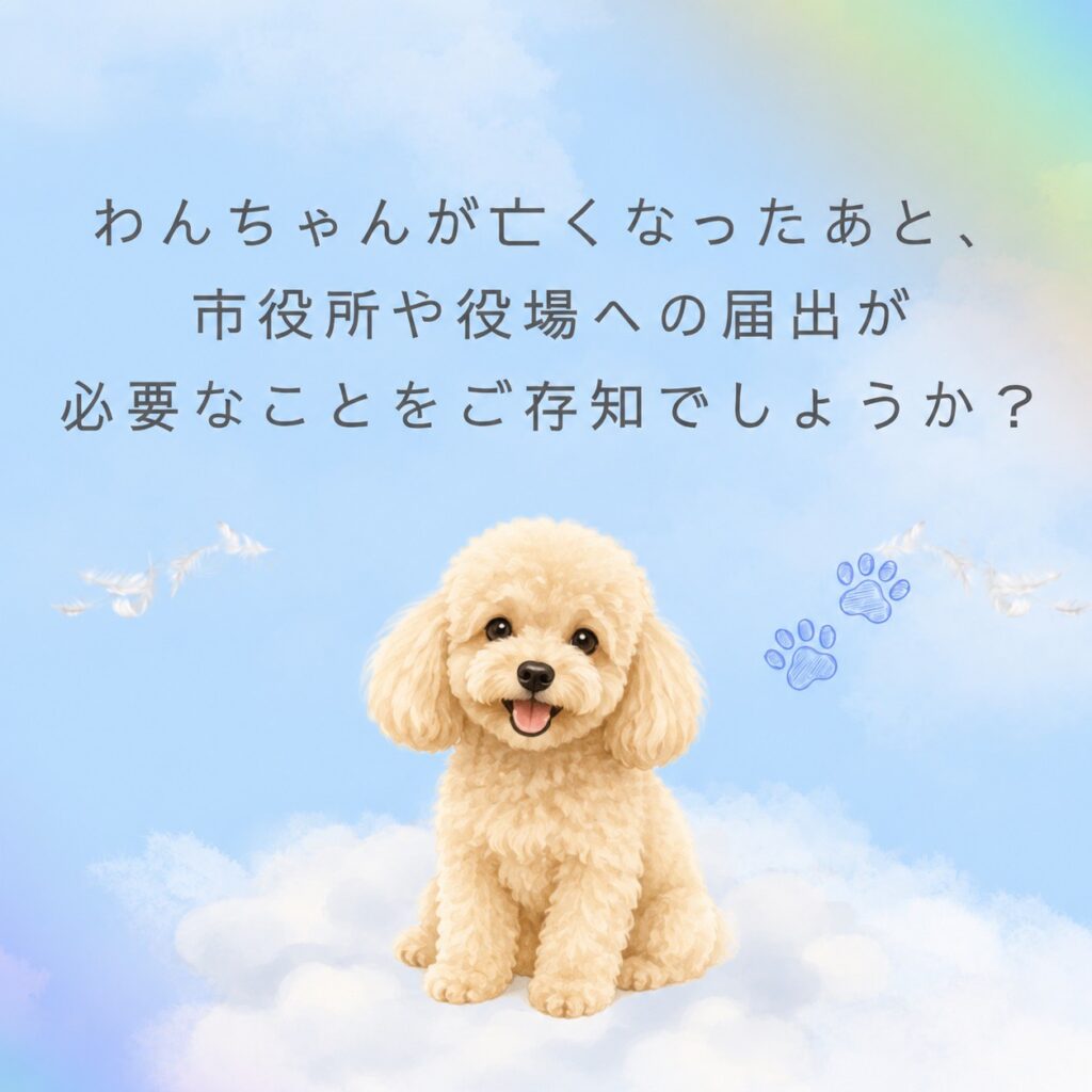 わんちゃんが亡くなった後、届出が必要なことをご存知ですか？